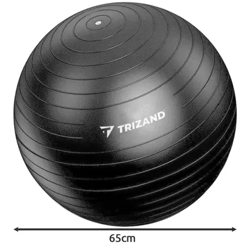 Gymnastický míč 65 cm s pumpičkou Trizand 19182