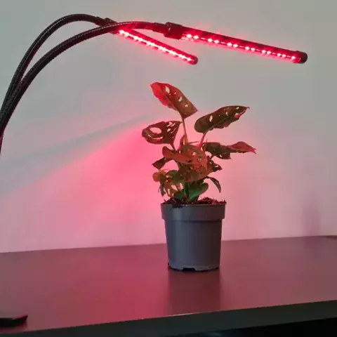 Lampa 20 LED 2 ks. pro růst rostlin Gardlov 19241