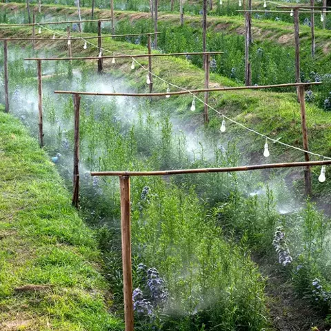 Zahradní zavlažovač - vodní clona 20m Gardlov 21213