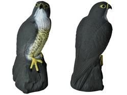 Bird repeller - falcon