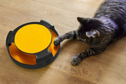 A toy for a cat - a wheel with a mouse