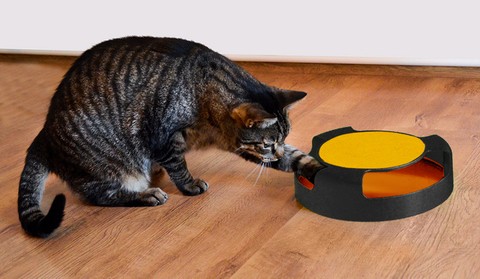 A toy for a cat - a wheel with a mouse