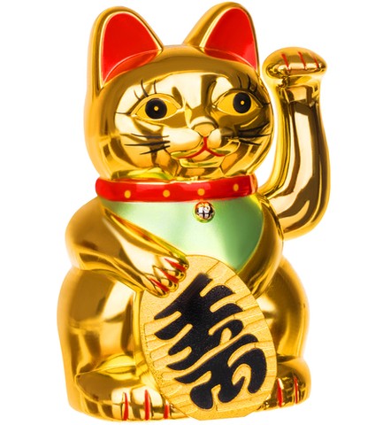 Chinese cat - golden