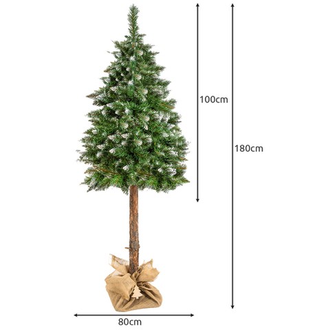 Tree trunk - diamond pine 180 cm