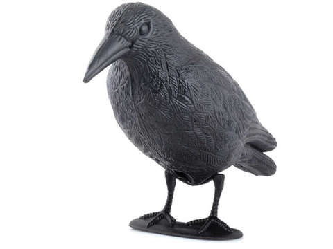 Répulsif d&#39;oiseaux - corbeau