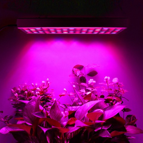 Lampe/Panel 225 LED für Pflanzenwachstum