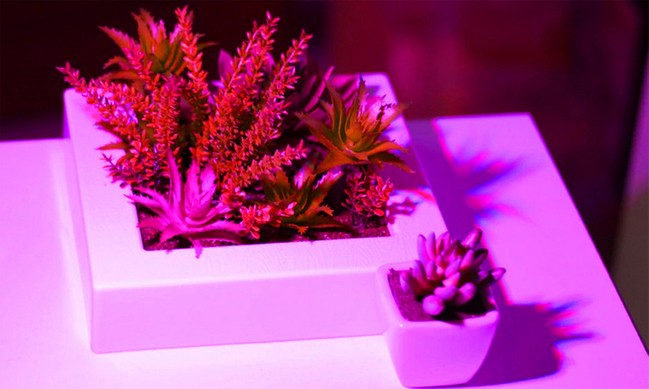 200 LED lempa augalų augimui