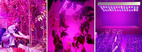 225 LED lempa / skydelis augalu augimui